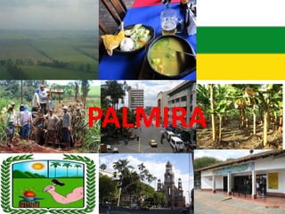 PALMIRA
 