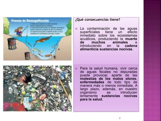 ¿Qué consecuencias tiene?
 La contaminación de las aguas
superficiales tiene un efecto
inmediato sobre los ecosistemas
acuáticos, produciendo la muerte
de muchos animales e
introduciendo en la cadena
alimenticia sustancias nocivas.
 Para la salud humana, vivir cerca
de aguas fecales no depuradas
puede provocar, aparte de las
molestias de los malos olores,
enfermedades de todo tipo de
manera más o menos inmediata. A
largo plazo, además, en nuestro
organismo se introducen
lentamente sustancias nocivas
para la salud.
9
 