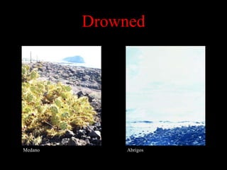 Drowned Medano Abrigos 