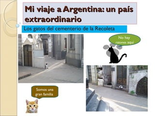Mi viaje a Argentina: un paísMi viaje a Argentina: un país
extraordinarioextraordinario
Los gatos del cementerio de la Recoleta
Somos una
gran familia
No hay
ratones aquí
 