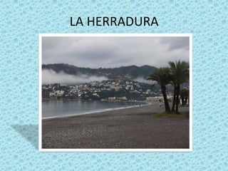 LA HERRADURA
 