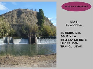 MI VIDA EN IMAGENES
DIA 5
EL JARRAL.
EL RUIDO DEL
AGUA Y LA
BELLEZA DE ESTE
LUGAR, DAN
TRANQUILIDAD.
 