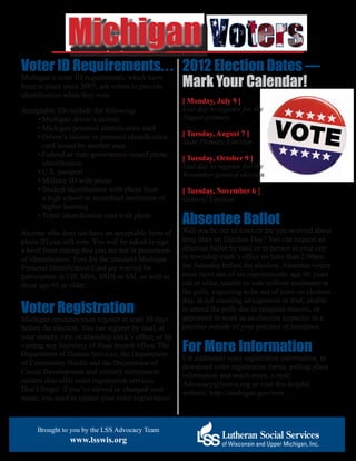 MI Voters Flyer | PDF