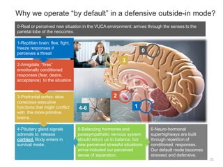 21
Why we operate “by default” in a defensive outside-in mode?
3-Prefrontal cortex: slow
conscious executive
functions that might conflict
with the more primitive
brains.
6-Neuro-hormonal
superhighways are built
through repetition of
conditioned responses.
Our default mode becomes
stressed and defensive.
2-Amigdala: “fires”
emotionally conditioned
responses (fear, desire,
acceptance) to the situation
0-Real or perceived new situation in the VUCA environment: arrives through the senses to the
parietal lobe of the neocortex.
5-Balancing hormones and
parasympathetic nervous system
should return us to balance, but
new perceived stressful situations
arrive included our perceived
sense of separation.
4-Pituitary gland signals
adrenals to release
cortisol. Body enters in
survival mode.
1
2
3
0
4-6
1-Reptilian brain: flee, fight,
freeze responses if
perceives a threat
 