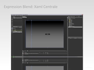 Expression Blend: Xaml Centrale 