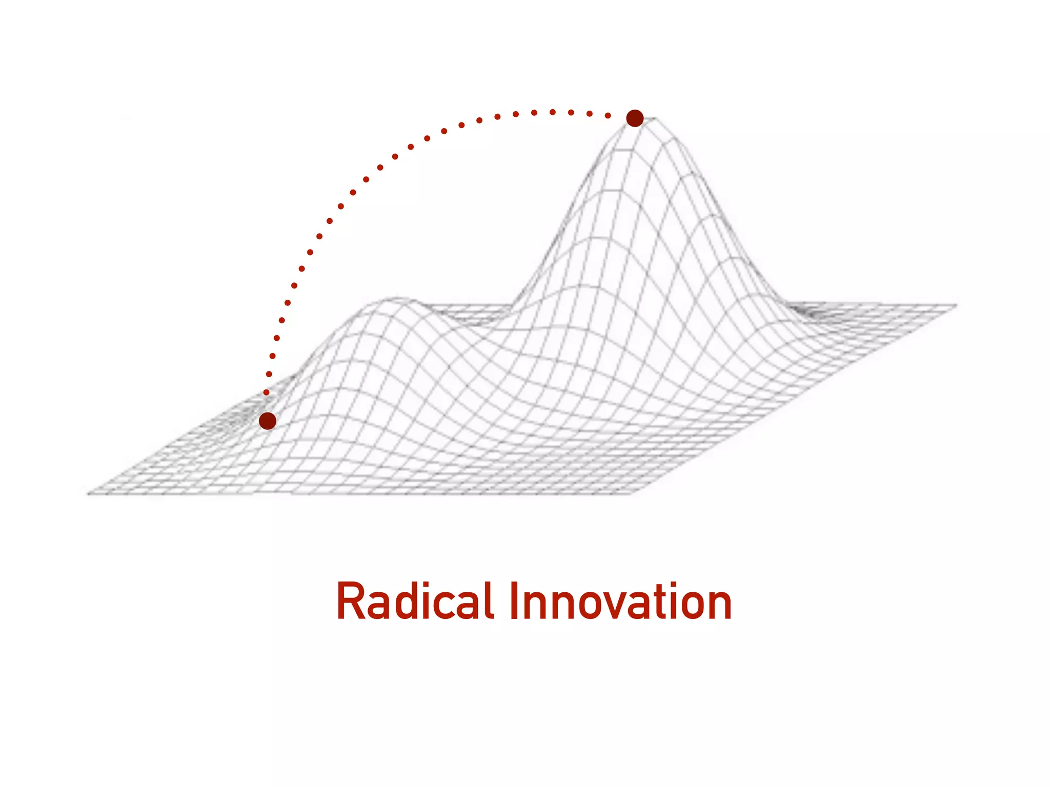 Radical Innovation
 