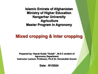 Mixed cropping & Inter cropping
Prepared by: Hazrat Gulab “Gulab” , M.S.C student of
Agronomy Department
Instructor Lecture: Professor, Ph.D Dr. Esmatullah Durani
Date: /01/2024
Islamic Emirate of Afghanistan
Ministry of Higher Education
Nangarhar University
Agriculture
Master Program in Agronomy
 