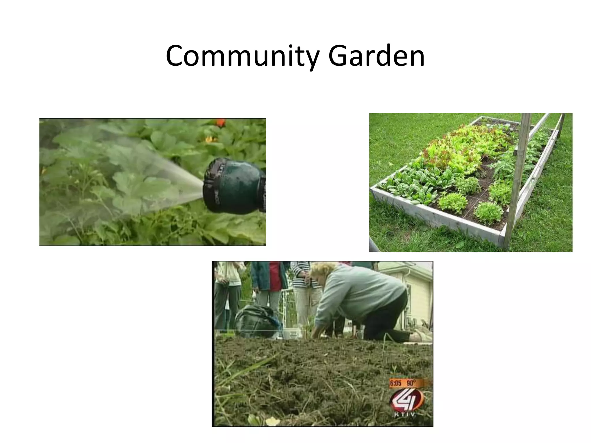 Community Garden
 