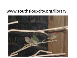 www.southsiouxcity.org/library
 