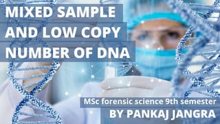 BY PANKAJ JANGRA
MIXED SAMPLE
AND LOW COPY
NUMBER OF DNA
MSc forensic science 9th semester
 