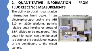 2. QUANTITATIVE INFORMATION FROM
FLUORESCENCE MEASUREMENTS
The ability to obtain quantitative
information from peaks in an
electropherogram,using the ABI
310 or 3100 platform, permits
relative peak heights or areas of
STR alleles to be measured. This
peak information can then be used
to decipher the possible genotypes
of the contributors to the mixed
sample.
 