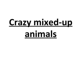 Crazy mixed-up
animals
 