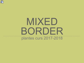 MIXED
BORDERplantes curs 2017-2018
 