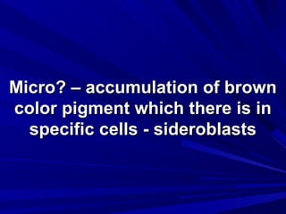 MMiiccrroo?? –– aaccccuummuullaattiioonn ooff bbrroowwnn 
ccoolloorr ppiiggmmeenntt wwhhiicchh tthheerree iiss iinn 
ssppeecciiffiicc cceellllss -- ssiiddeerroobbllaassttss 
 