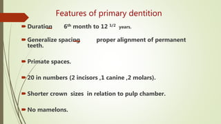 Features of primary dentition
Duration 6th month to 12 1/2 years.
Generalize spacing proper alignment of permanent
teeth.
Primate spaces.
20 in numbers (2 incisors ,1 canine ,2 molars).
Shorter crown sizes in relation to pulp chamber.
No mamelons.
 