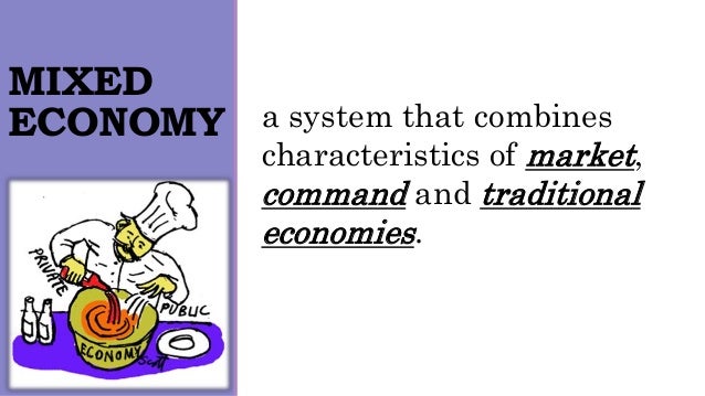 Mixed Economy