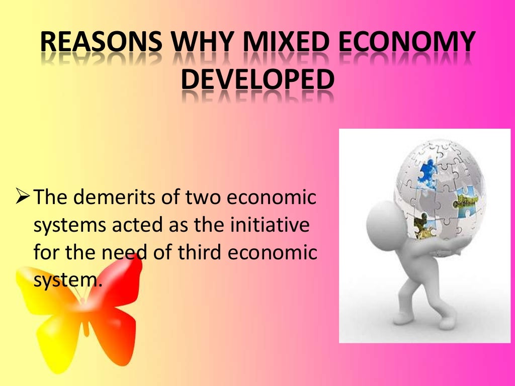 Mixed economy model