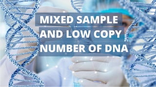 MIXED SAMPLE
AND LOW COPY
NUMBER OF DNA
 