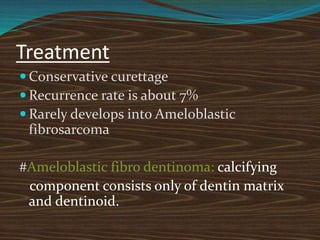 Treatment
 Conservative curettage
 Recurrence rate is about 7%
 Rarely develops into Ameloblastic
fibrosarcoma
#Ameloblastic fibro dentinoma: calcifying
component consists only of dentin matrix
and dentinoid.
 