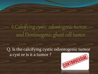 6.Calcifying cystic odontogenic tumor
and Dentinogenic ghost cell tumor
Q. Is the calcifying cystic odontogenic tumor
a cyst or is it a tumor ?
 