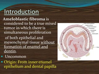 Introduction
Ameloblastic fibroma is
considered to be a true mixed
tumor in which there is
simultaneous proliferation
of both epithelial and
mesenchymal tissue without
formation of enamel and
dentin.
 Uncommon
 Origin: From inner enamel
epithelium and dental papilla
 