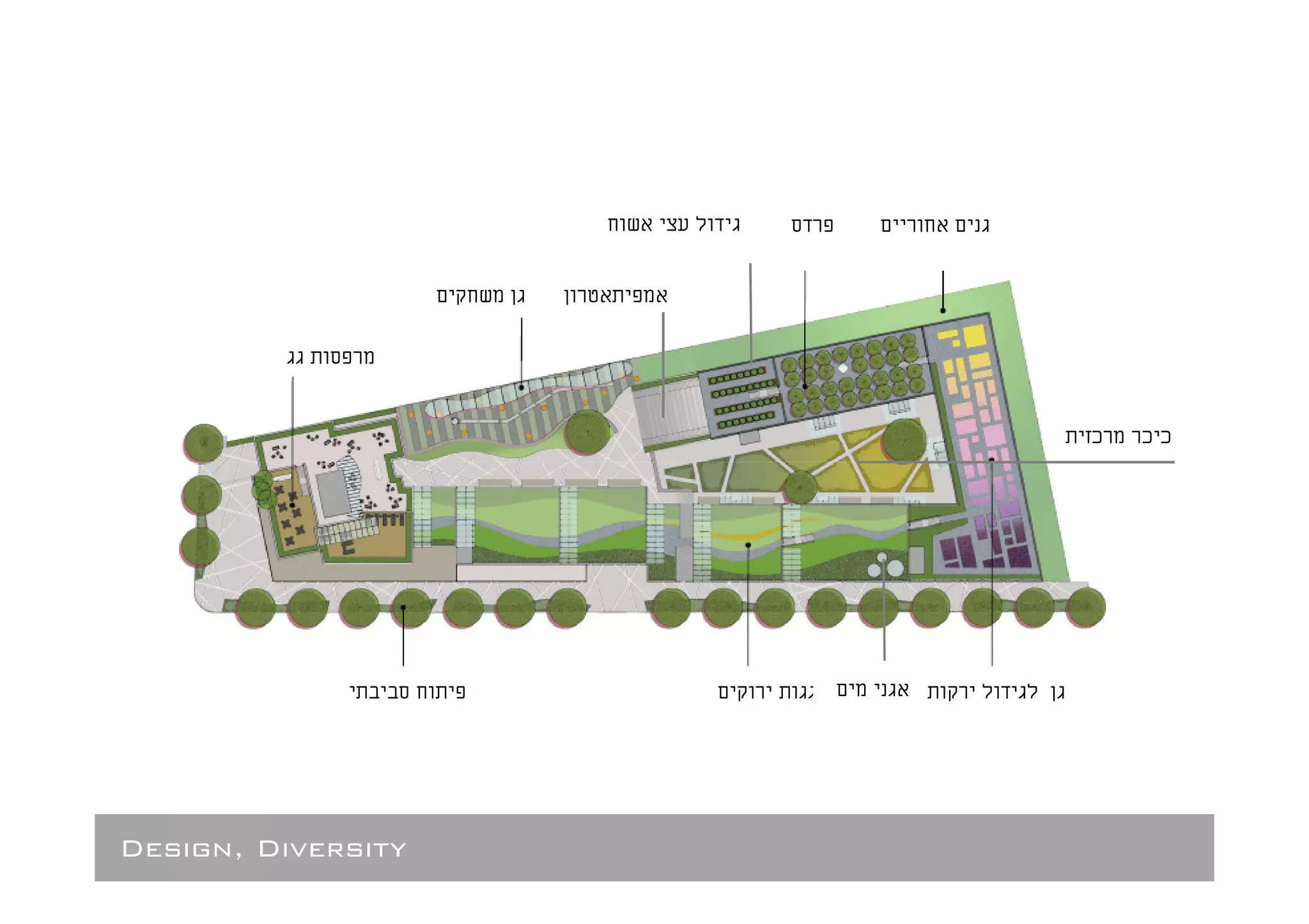 ¯   ¯¯




Design, Diversity
 