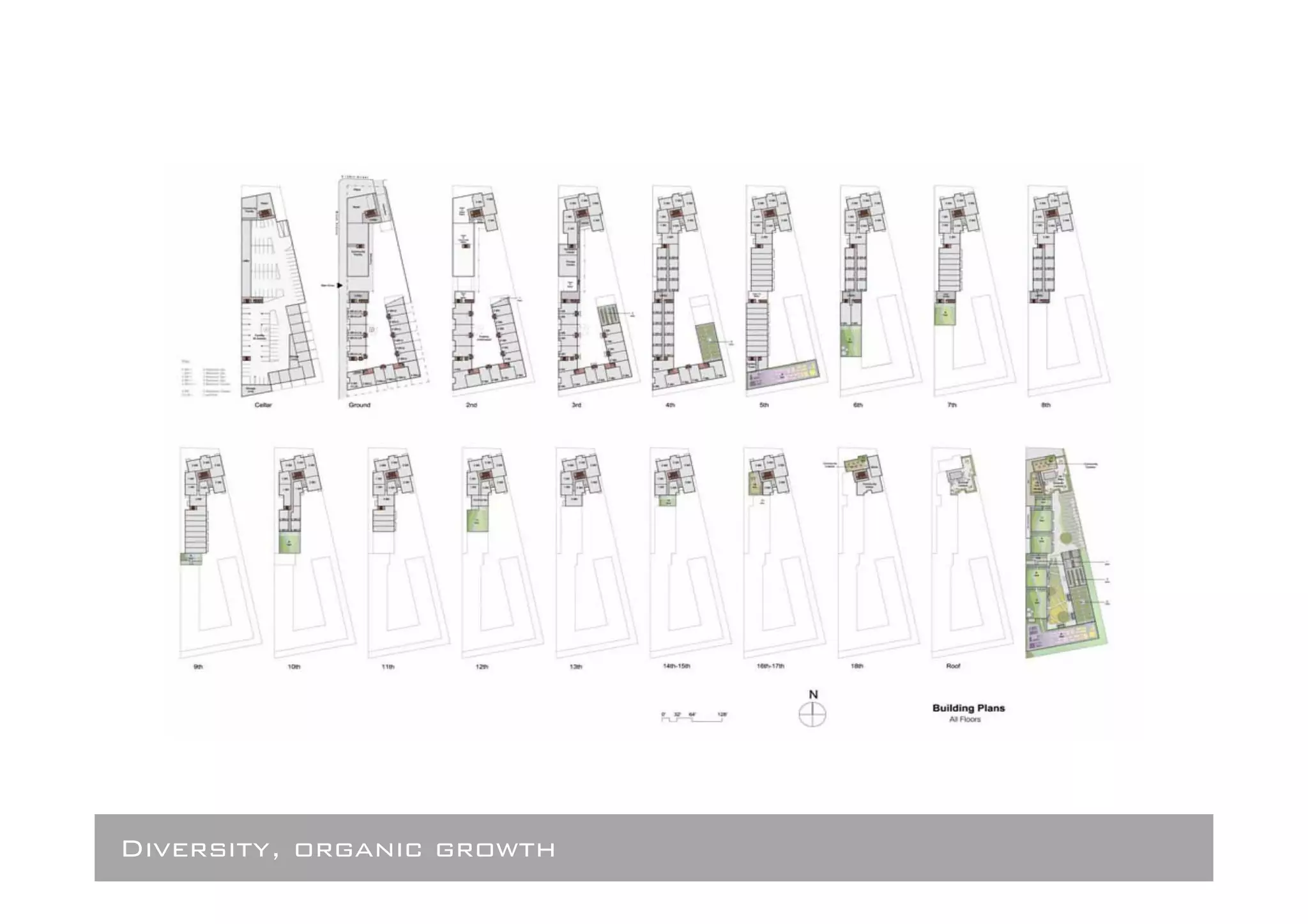 Diversity, organic growth
 