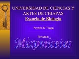 UNIVERSIDAD DE CIENCIAS Y ARTES DE CHIAPAS Escuela de Biología  Kryztho D´ Fragg Presenta: Mixomicetes 