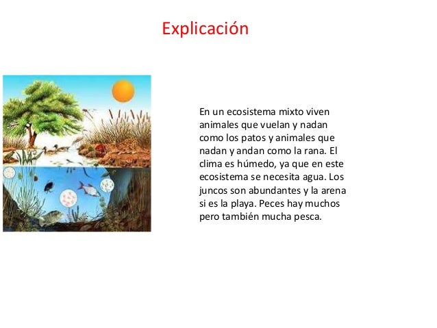 Resultado de imagen para DEFINICI0N de los ecosistemas wikipedia