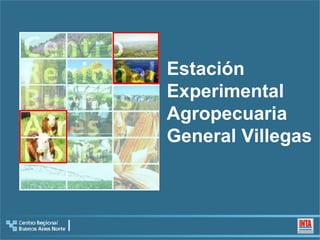 Estación  Experimental  Agropecuaria General Villegas 