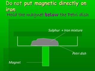 DDoo nnoott ppuutt mmaaggnneettiicc ddiirreeccttllyy oonn 
iirroonn 
HHoolldd tthhee mmaaggnneett bbeellooww tthhee PPeettrrii ddiisshh 
Magnet 
Sulphur + Iron mixture 
Petri dish 
 