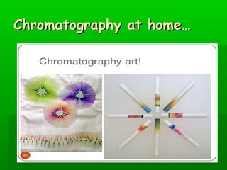 CChhrroommaattooggrraapphhyy aatt hhoommee…… 
 