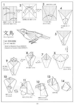 Miyamoto chuya   java sparrow