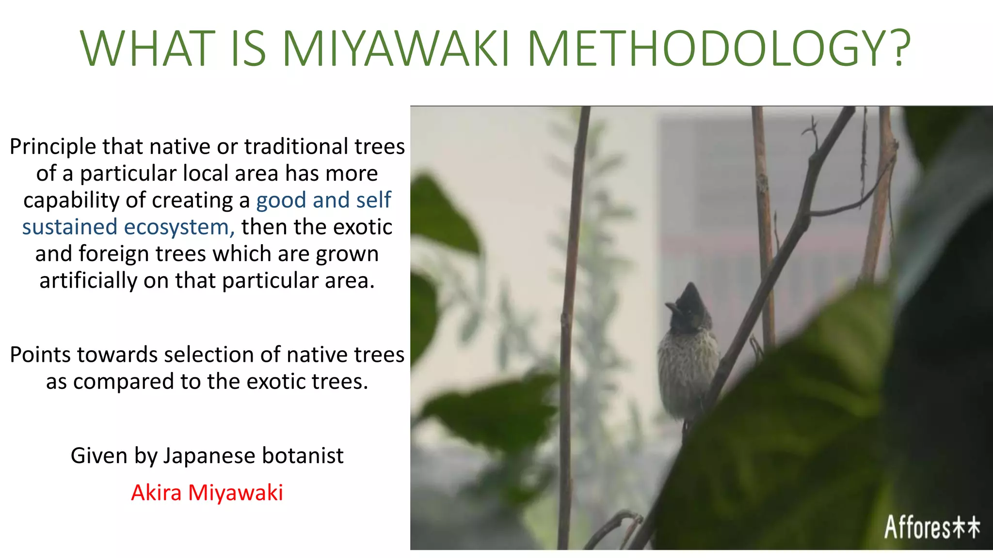WHAT IS MIYAWAKI METHODOLOGY?
Principle that native or traditional trees
of a particular local area has more
capability of creating a good and self
sustained ecosystem, then the exotic
and foreign trees which are grown
artificially on that particular area.
Points towards selection of native trees
as compared to the exotic trees.
Given by Japanese botanist
Akira Miyawaki