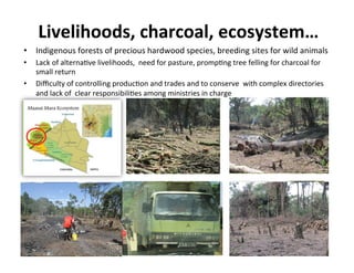 Livelihoods,	
  charcoal,	
  ecosystem…	
  
•  Indigenous	
  forests	
  of	
  precious	
  hardwood	
  species,	
  breeding	
  sites	
  for	
  wild	
  animals	
  	
  
•  Lack	
  of	
  alterna9ve	
  livelihoods,	
  	
  need	
  for	
  pasture,	
  promp9ng	
  tree	
  felling	
  for	
  charcoal	
  for	
  
small	
  return	
  
•  Diﬃculty	
  of	
  controlling	
  produc9on	
  and	
  trades	
  and	
  to	
  conserve	
  	
  with	
  complex	
  directories	
  
and	
  lack	
  of	
  	
  clear	
  responsibili9es	
  among	
  ministries	
  in	
  charge	
  
 