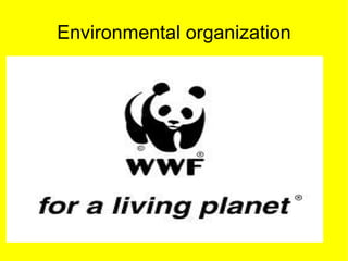 Environmental organization
 