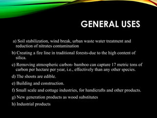 GENERAL USES
a) Soil stabilization, wind break, urban waste water treatment and
reduction of nitrates contamination
b) Creating a fire line in traditional forests-due to the high content of
silica.
c) Removing atmospheric carbon- bamboo can capture 17 metric tons of
carbon per hectare per year, i.e., effectively than any other species.
d) The shoots are edible.
e) Building and construction.
f) Small scale and cottage industries, for handicrafts and other products.
g) New generation products as wood substitutes
h) Industrial products
 