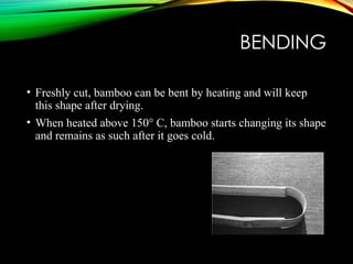 BENDING
• Freshly cut, bamboo can be bent by heating and will keep
this shape after drying.
• When heated above 150° C, bamboo starts changing its shape
and remains as such after it goes cold.
 