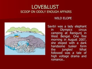 LOVE&LUST  SCOOP ON ODDLY ENOUGH AFFAIRS WILD ELOPE Savitri was a lady elephant in Olympics circus camping at Ranigunj in West Bengal. One fine morning in August 2007, she eloped with a dark handsome tusker form the jungles! What followed was a tale of high voltage drama and romance..  