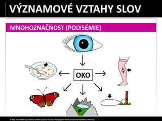 MNOHOZNAČNOST (POLYSÉMIE)
OKO
© Mgr. Veronika Krejčí, Katedra českého jazyka a literatury Pedagogické fakulty Univerzity Palackého v Olomouci
VÝZNAMOVÉ VZTAHY SLOV
 