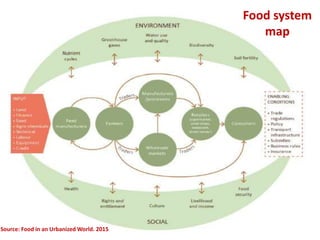Value Chains for Nutrition & Food Security (VCN)