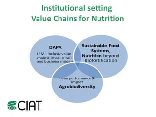Value Chains for Nutrition & Food Security (VCN)