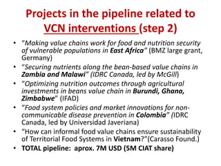 Value Chains for Nutrition & Food Security (VCN)