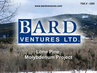 Lone Pine  Molybdenum Project 