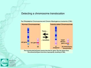 Detecting a chromosome translocation 
 