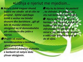 •Lidhja e njeriut me mjedisin…
☻ Natyra është treguar shumë
bujare me vëndin në të cilin ne
jetojmë . Gjithë sipërfaqja
është e veshur me bimësi
drunore dhe barishtore , gjë që
bën të mundur shtimin e
oksigjenit aq të domosdoshëm
për shëndetin dhe jetën e
njeriut.
☻ Prania në mase të
konsiderueshme e bimësise
,gjatë proçesit të
fotosintezes,asimilon dioksidin
e karbonit në natyre duke
çliruar oksigjenin.
☻ Aty ku ka bimesi -ka pasterti
, ka shëndet , ka jetëgjatesi ,
aty nuk kanë vend sëmundjet .
☻ Njeriu duhet të jetoje në
harmoni me natyren, duhet të
kujdeset për atë, dhe të
zhfrytezoje me efikasitet të
mirat e saj, përndryshe natyra
e ndëshkon atë dhe brezat që
do të vijne.
 