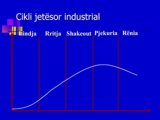 Cikli jetësor industrial Lindja Rritja Shakeout Pjekuria Rënia 