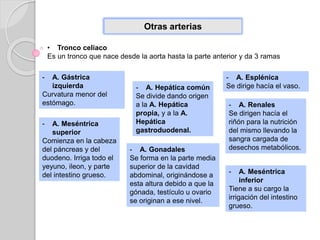 Otras arterias
• Tronco celiaco
Es un tronco que nace desde la aorta hasta la parte anterior y da 3 ramas
- A. Gástrica
izquierda
Curvatura menor del
estómago.
- A. Hepática común
Se divide dando origen
a la A. Hepática
propia, y a la A.
Hepática
gastroduodenal.
- A. Esplénica
Se dirige hacía el vaso.
- A. Renales
Se dirigen hacía el
riñón para la nutrición
del mismo llevando la
sangra cargada de
desechos metabólicos.
- A. Meséntrica
superior
Comienza en la cabeza
del páncreas y del
duodeno. Irriga todo el
yeyuno, ileon, y parte
del intestino grueso.
- A. Gonadales
Se forma en la parte media
superior de la cavidad
abdominal, originándose a
esta altura debido a que la
gónada, testículo u ovario
se originan a ese nivel.
- A. Meséntrica
inferior
Tiene a su cargo la
irrigación del intestino
grueso.
 