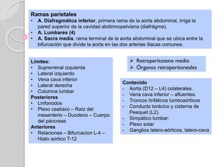 Ramas parietales
• A. Diafragmática inferior, primera rama de la aorta abdominal, irriga la
pared superior de la cavidad abdimnopelviana (diafrágma).
• A. Lumbares (4)
• A. Sacra media, rama terminal de la aorta abdominal que se ubica entre la
bifurcación que divide la aorta en las dos arterias iliacas comunes.
 Retroperitoteno medio
 Órganos retroperitoneales
Contenido
- Aorta (D12 – L4) colaterales.
- Vena cava inferior – afluentes.
- Troncos linfáticos lumboaórticos
- Conducto torácico y cisterna de
Peequet (L2).
- Simpático lumbar:
- Plexo solar
- Ganglios latero-aórticos, latero-cava
Límites:
• Suprerrenal izquierda
• Lateral izquierdo
• Vena cava inferior
• Lateral derecha
• Columna lumbar
Posteriores
• Linfonodos
• Plexo cealiaco – Raíz del
mesenterio – Duodeno – Cuerpo
del páncreas
Anteriores
• Relaciones – Bifurcacion L-4 –
Hiato aórtico T-12
 