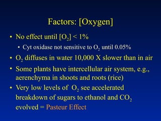 Factors: [Oxygen]
• No effect until [O2] < 1%
▪ Cyt oxidase not sensitive to O2 until 0.05%
• O2 diffuses in water 10,000 X slower than in air
• Some plants have intercellular air system, e.g.,
aerenchyma in shoots and roots (rice)
• Very low levels of O2 see accelerated
breakdown of sugars to ethanol and CO2
evolved = Pasteur Effect
 